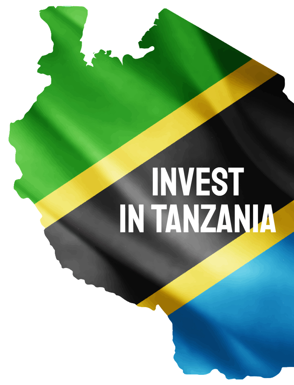 SIMBA INVEST - invest in Tanzania